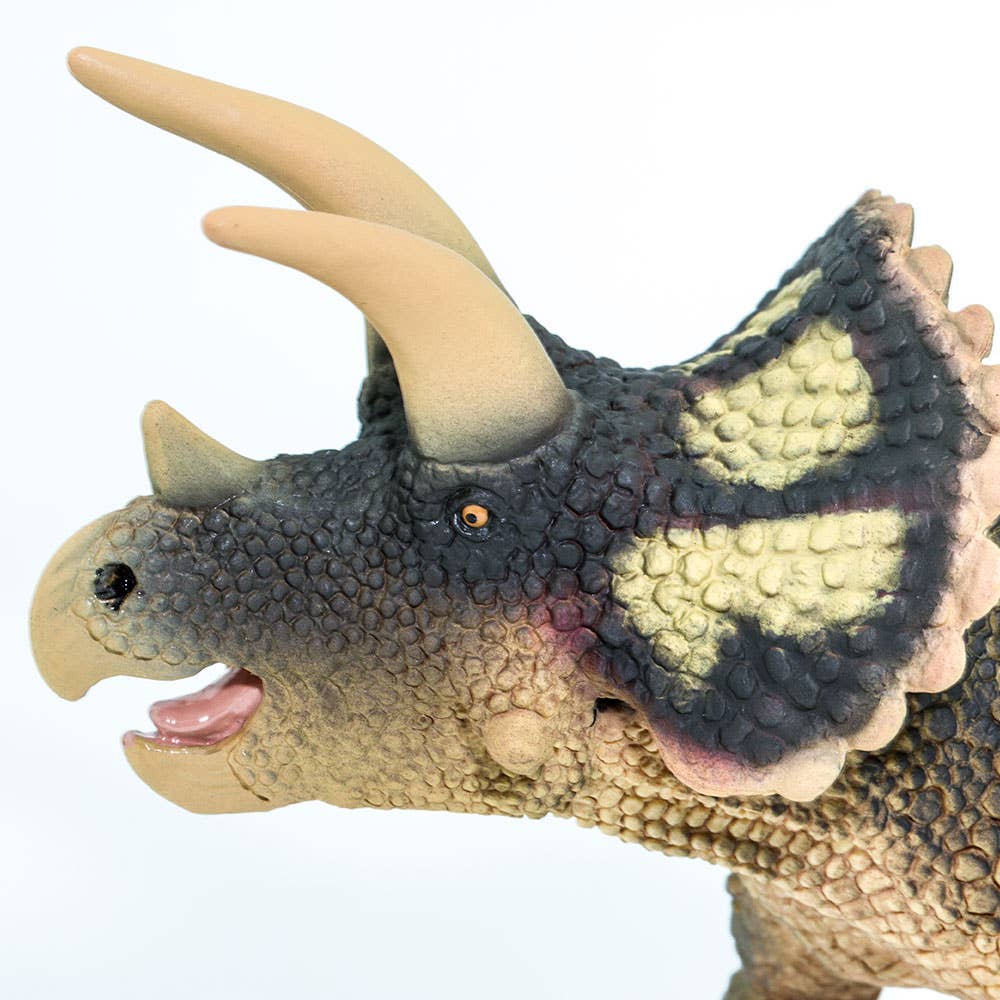 Triceratops - 100153