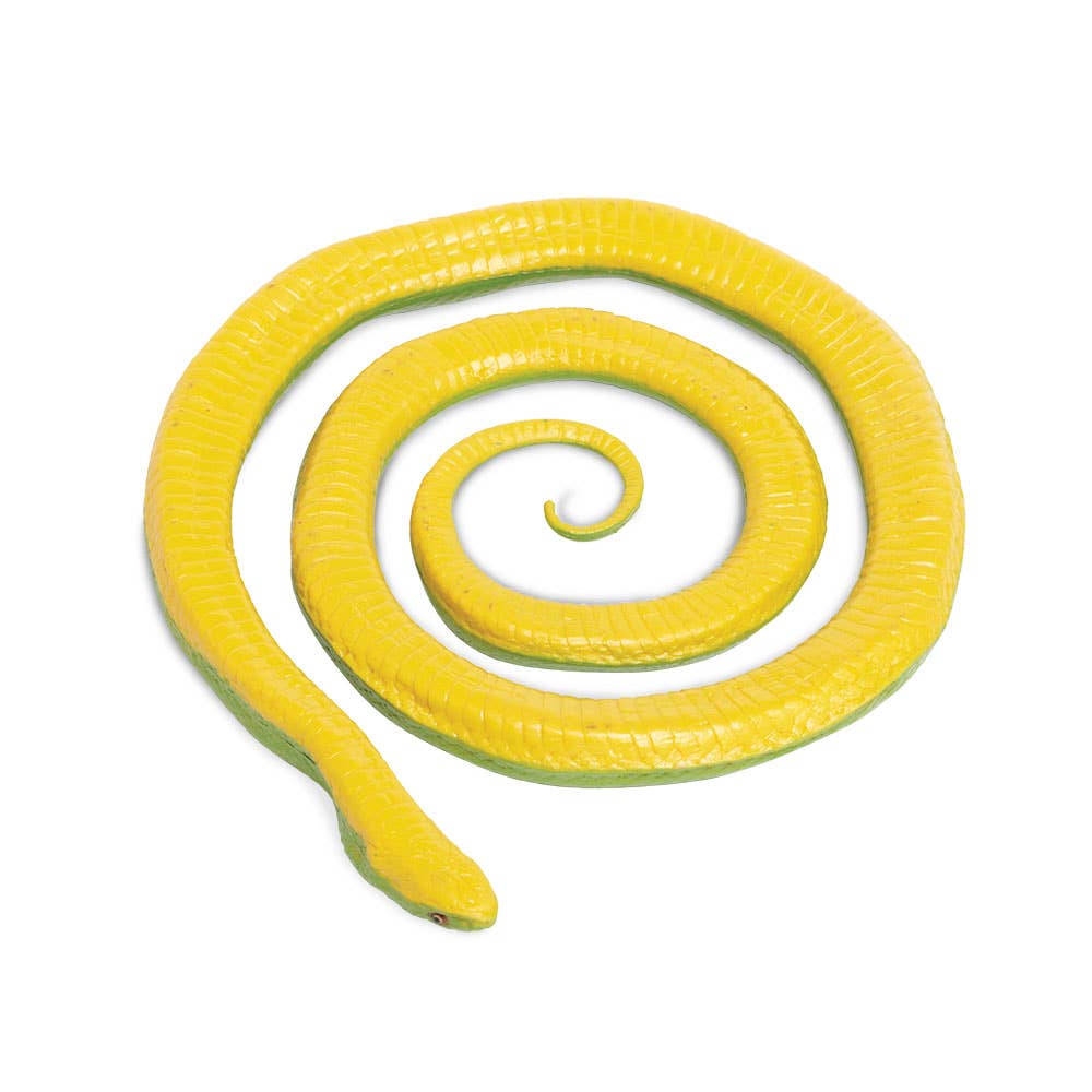 Rough Green Snake - 257729