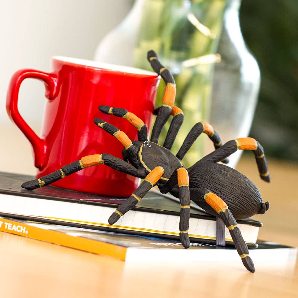 Orange - Kneed Tarantula - 542006