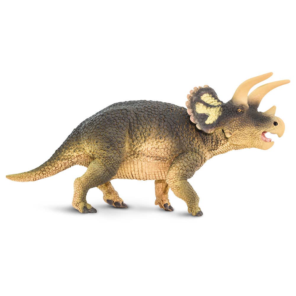 Triceratops - 100153