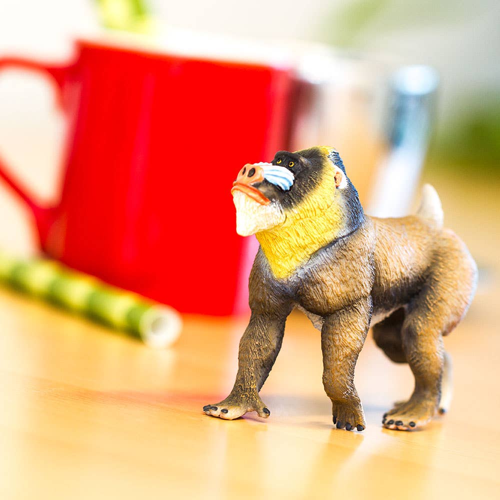 Mandrill - 100273