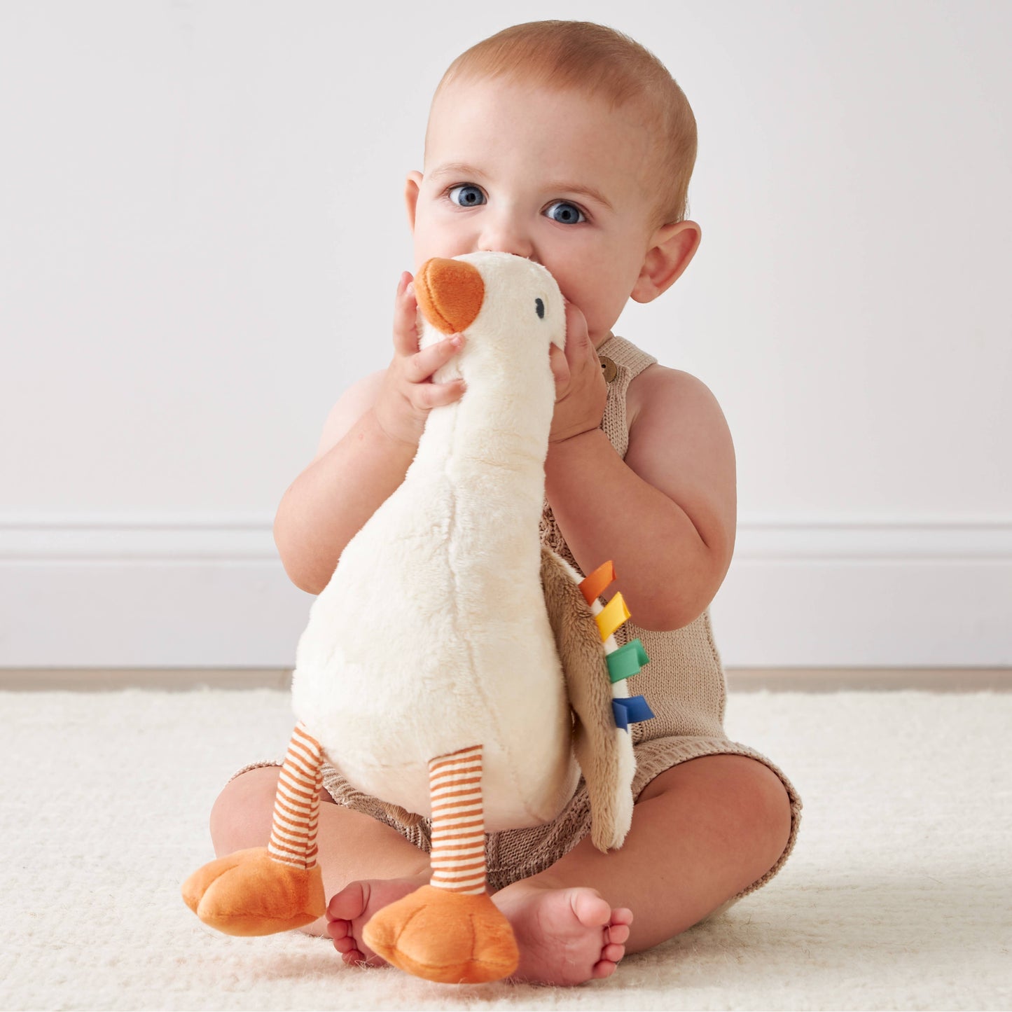 Sweetie Snuggles™ Plush: Frog