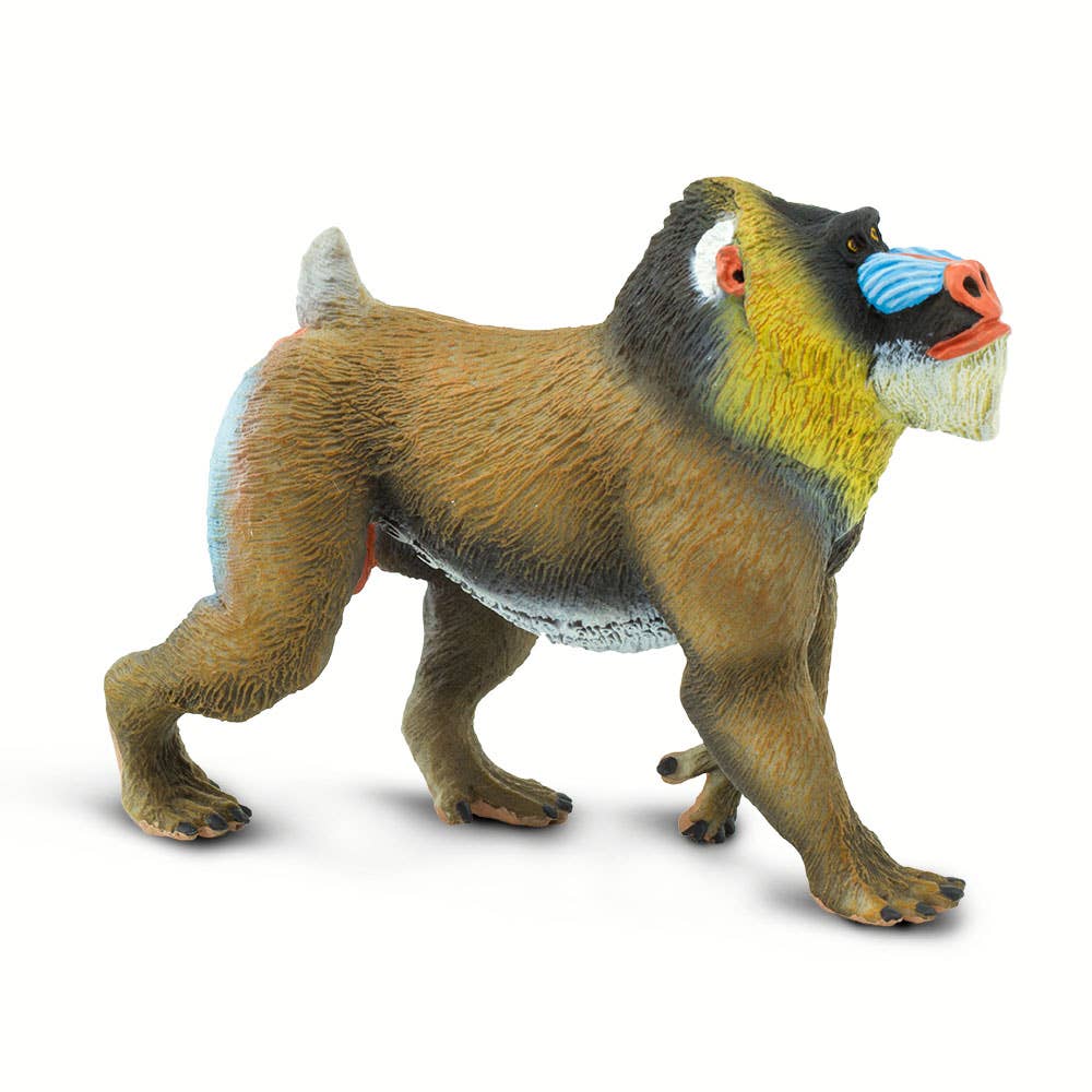 Mandrill - 100273