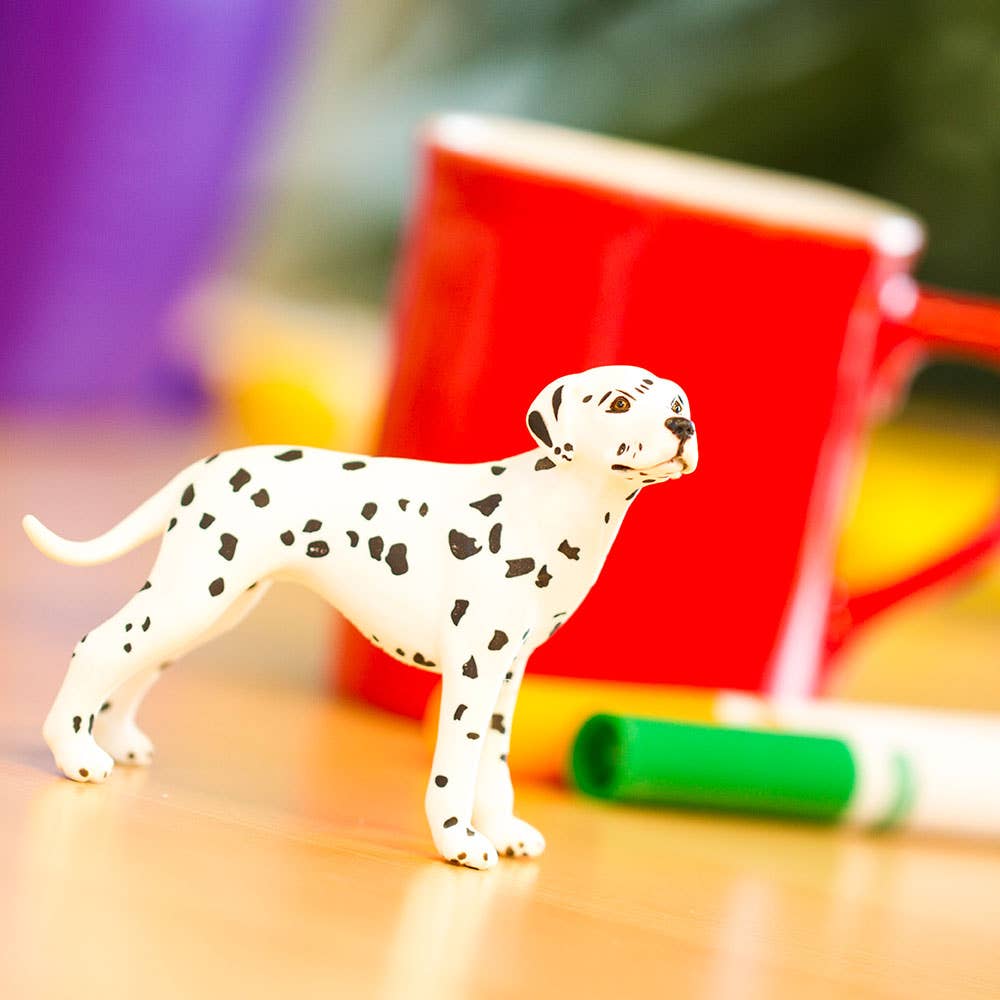 Dalmatian - 239529