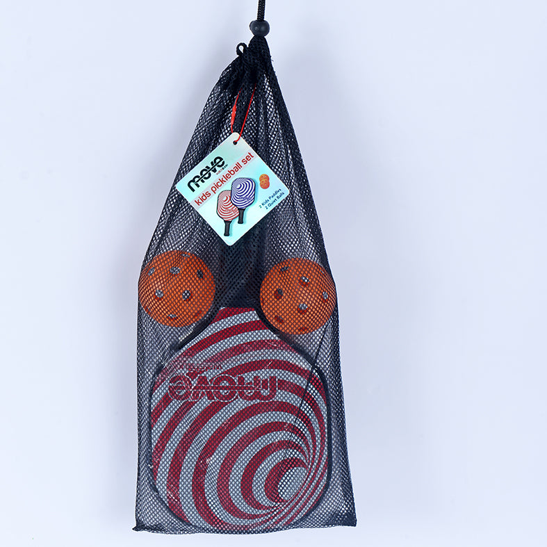 Pickle Ball Paddle & Balls