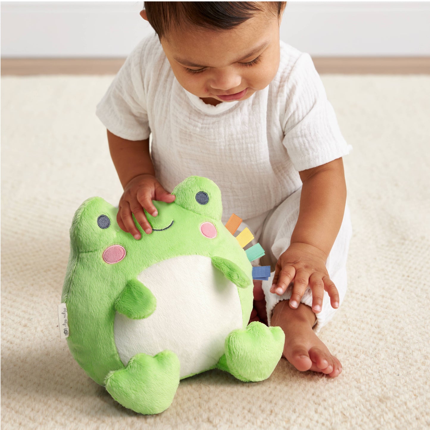 Sweetie Snuggles™ Plush: Frog