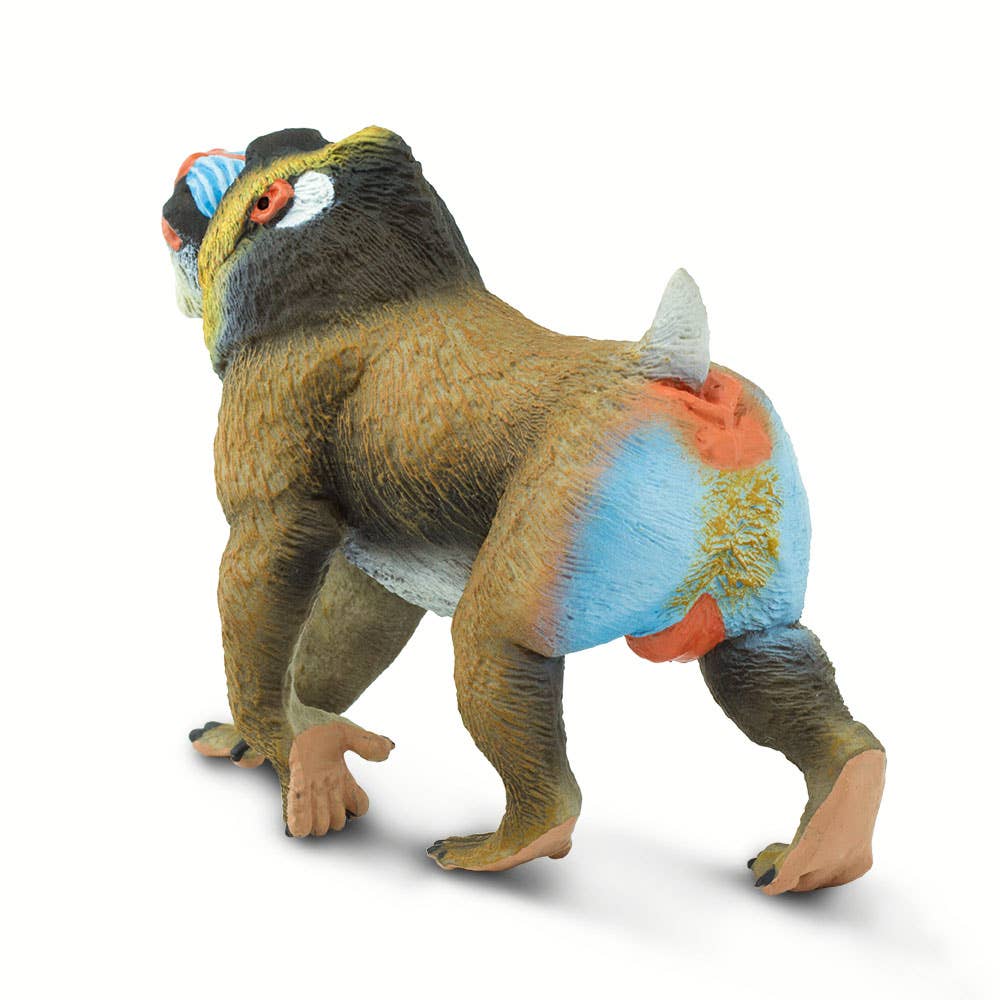 Mandrill - 100273