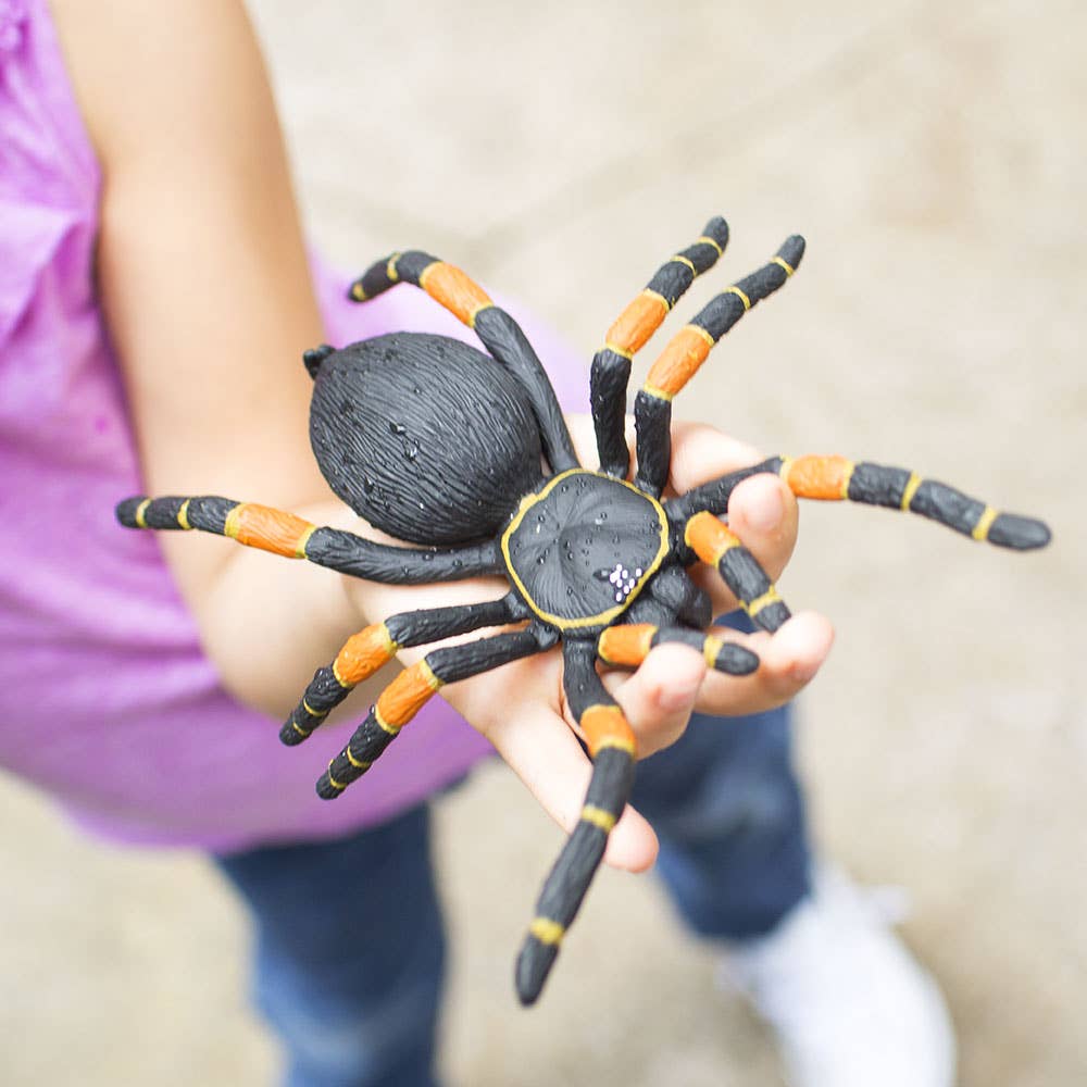 Orange - Kneed Tarantula - 542006
