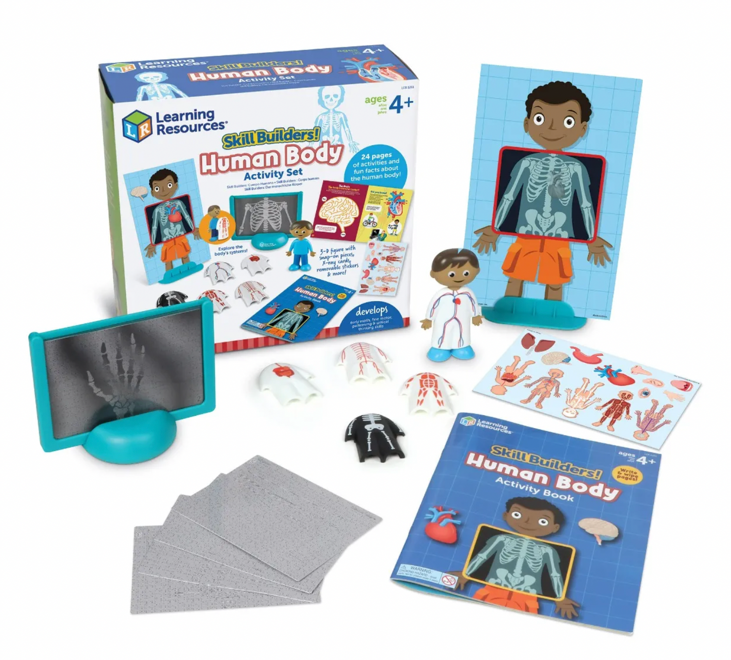 Skill Builders Human Body