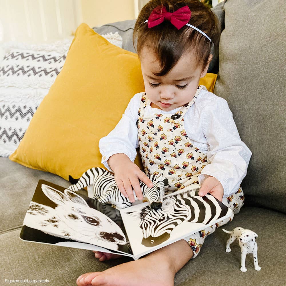 Dalmatian - 239529