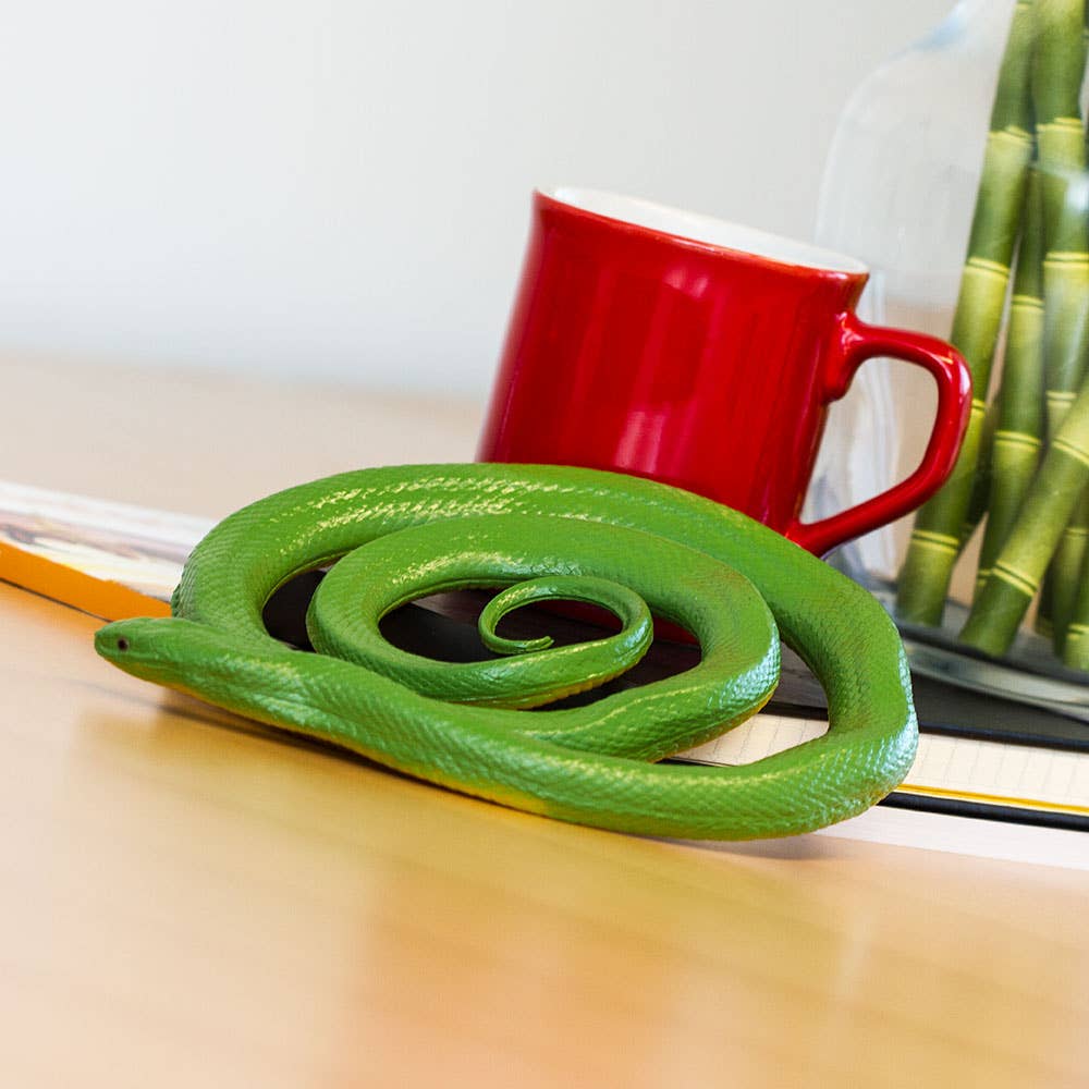 Rough Green Snake - 257729