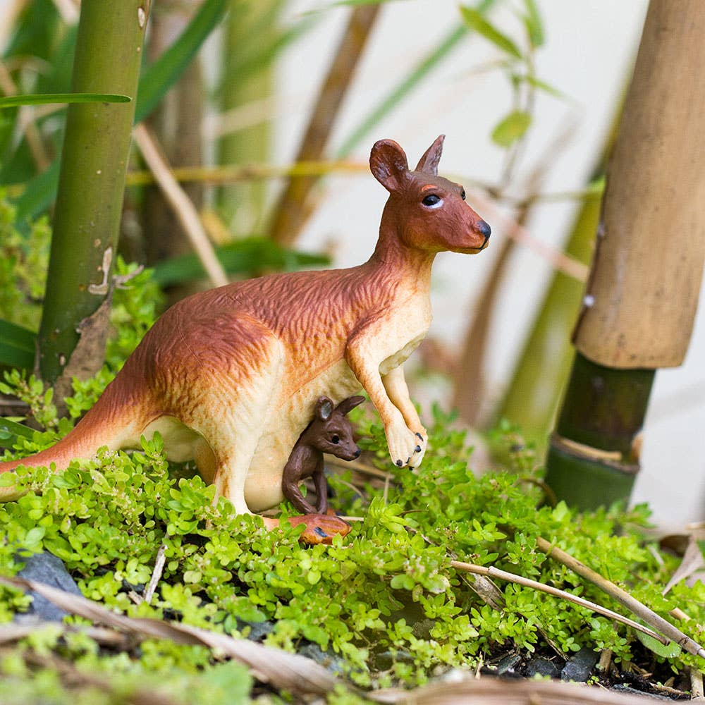 Kangaroo With Baby - 292029