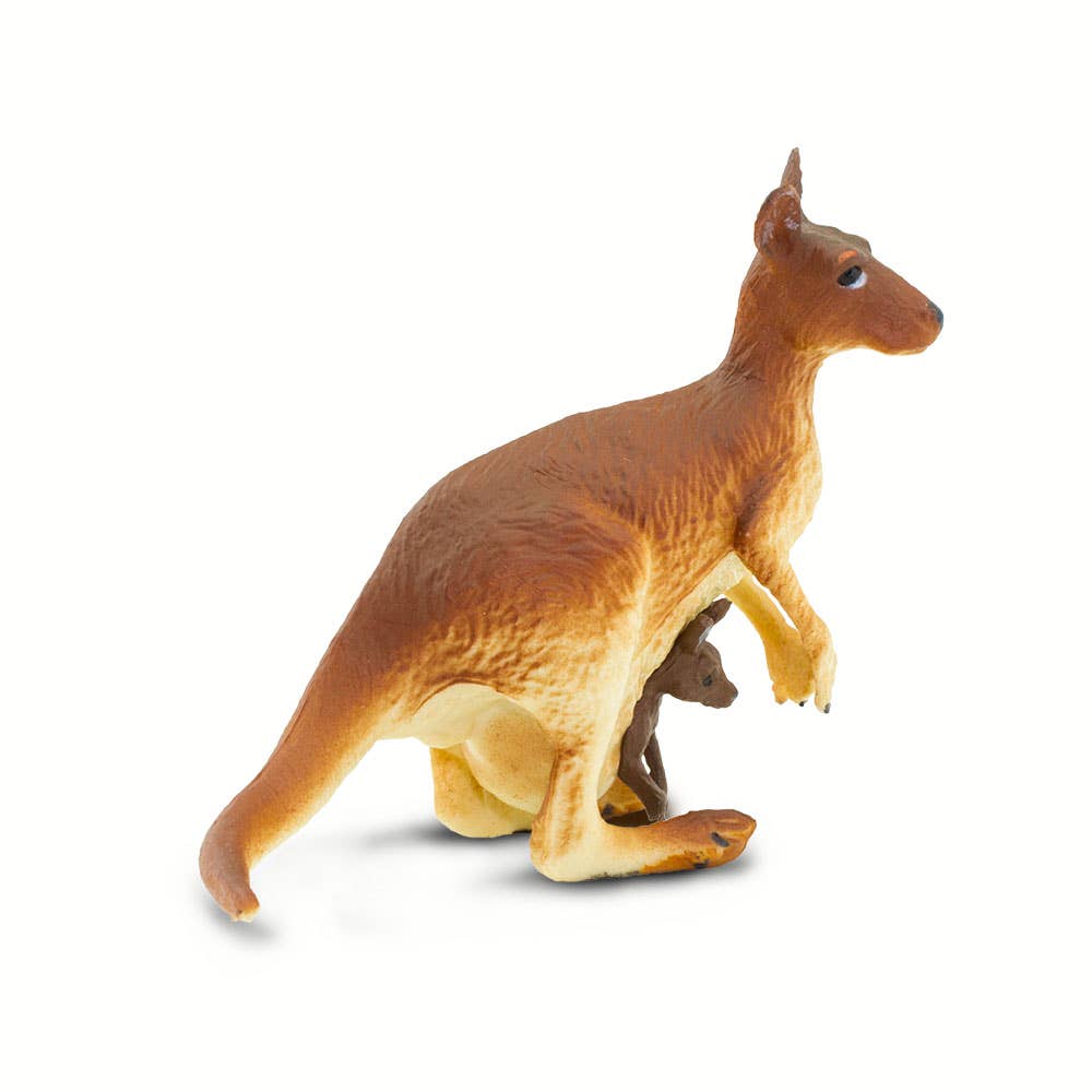 Kangaroo With Baby - 292029