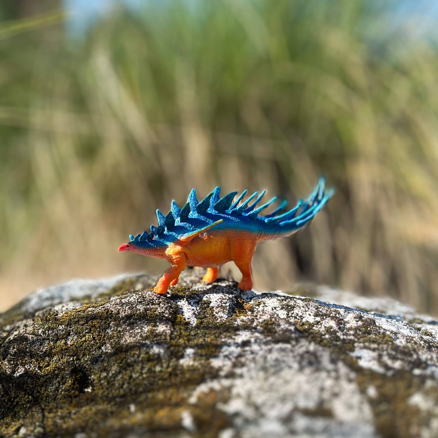 Kentrosaurus 1046046
