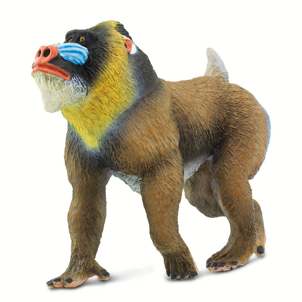 Mandrill - 100273