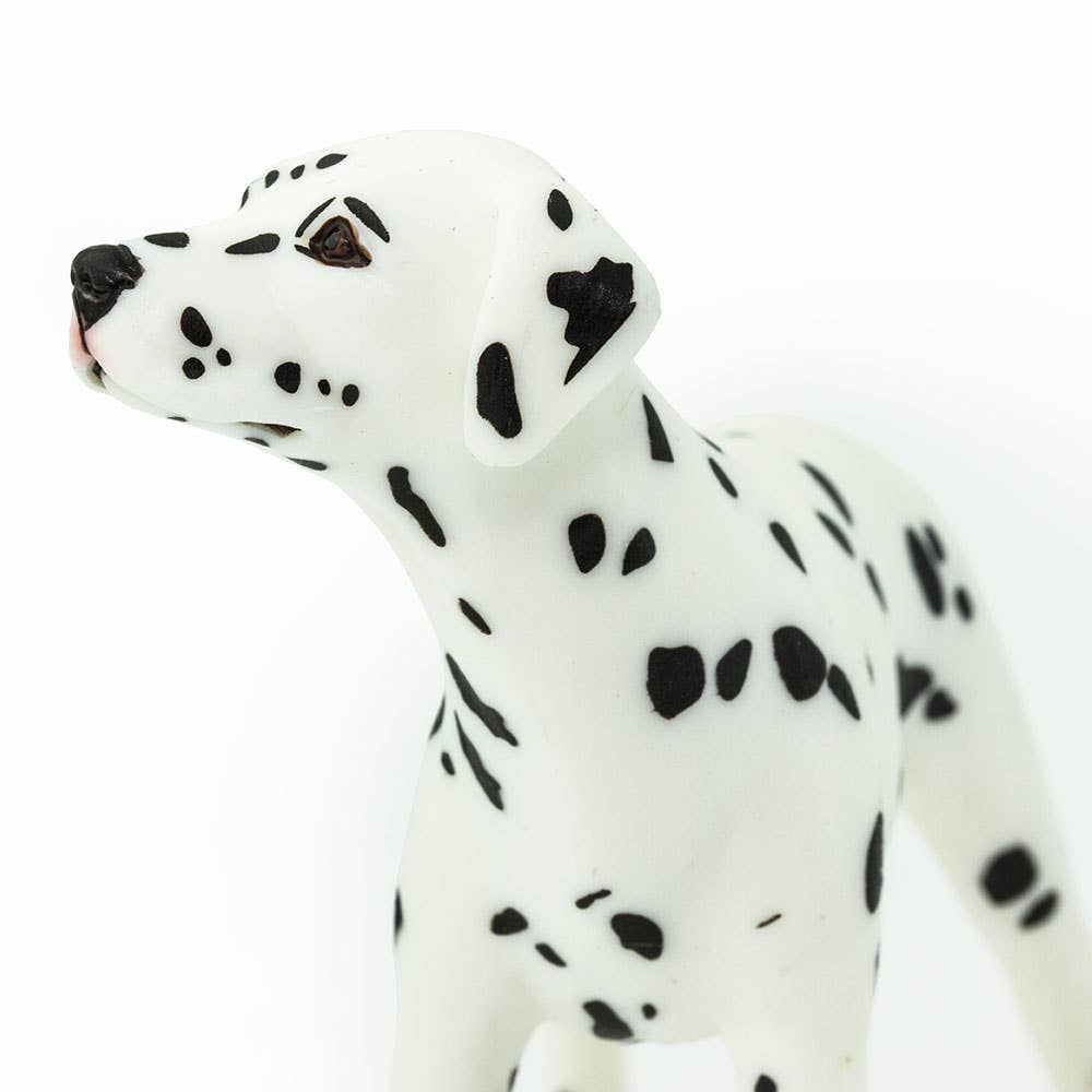 Dalmatian - 239529