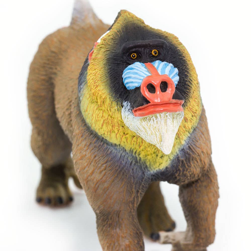 Mandrill - 100273