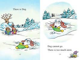 Little Critter: A Snow Day for Dog : Mercer Mayer