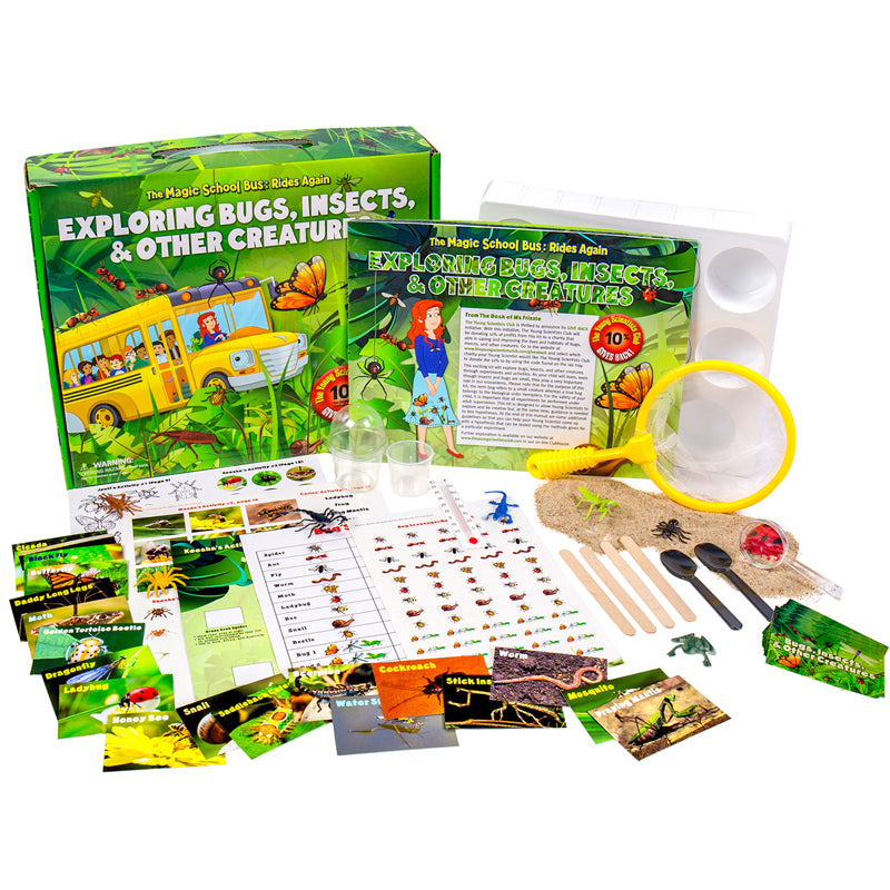 Exploring Bugs, Insects & Creatures