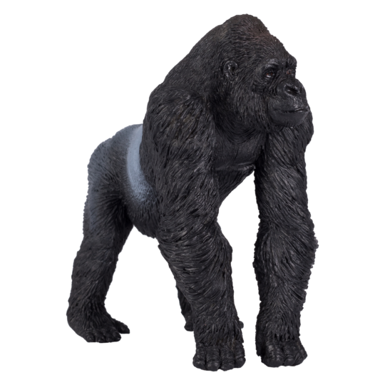 Gorilla Silverback