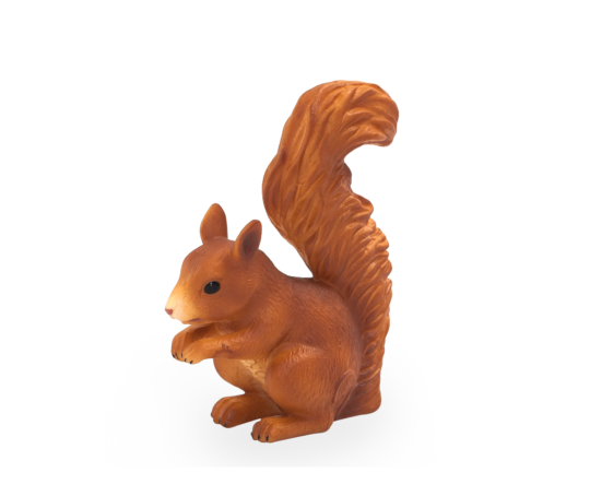 Squirrel Standing