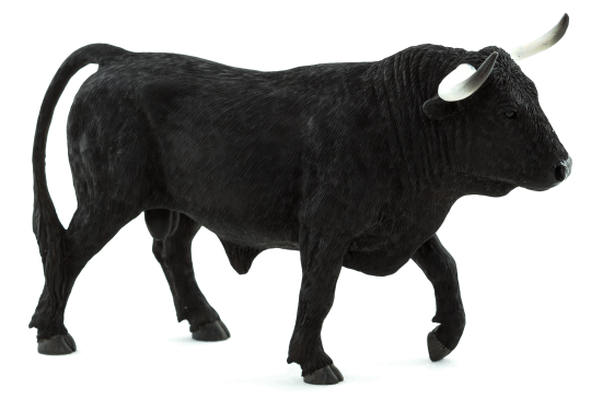 Spanish Bull