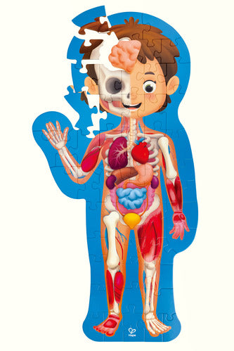 Human Body Puzzle