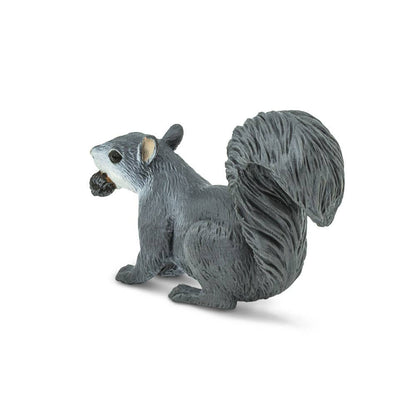 Gray Squirrel - 296129