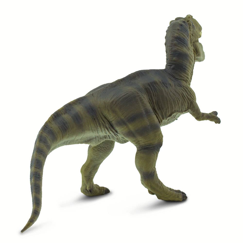 Tyrannosaurus Rex - 100423