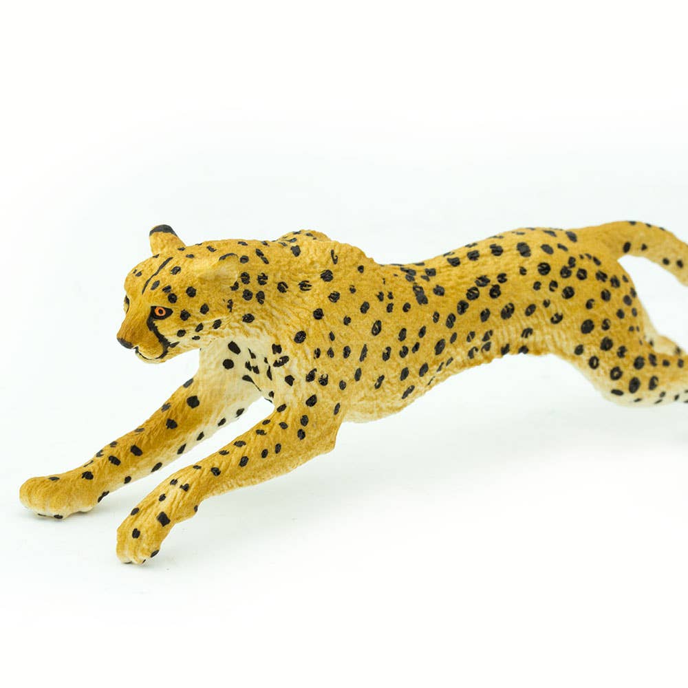 Cheetah 290429