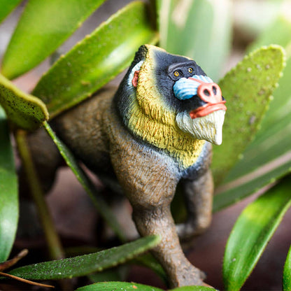 Mandrill - 100273