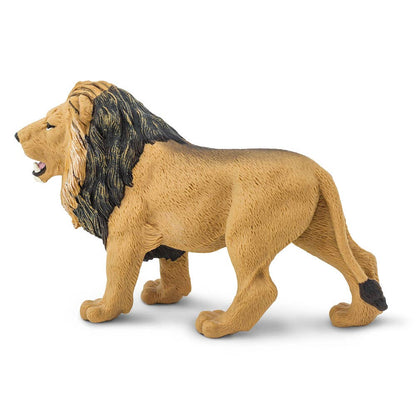 Lion - 290229