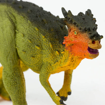 Dracorex - 303129