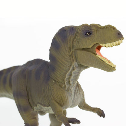 Tyrannosaurus Rex - 100423