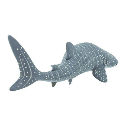 Whale Shark - 422129