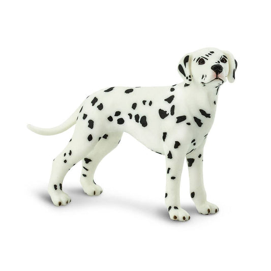 Dalmatian - 239529
