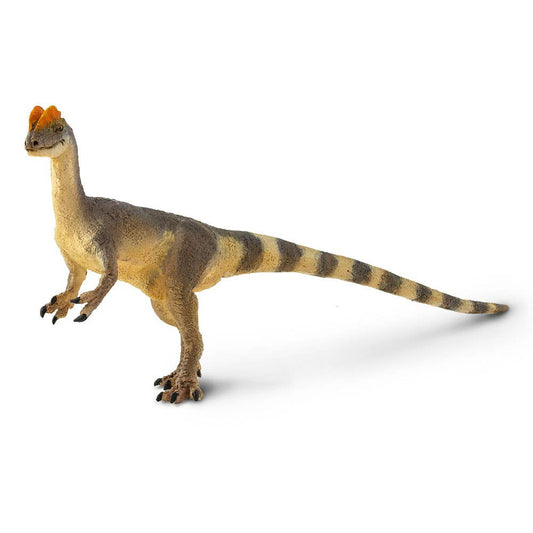 Dilophosaurus - 100508