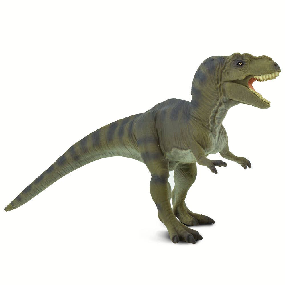 Tyrannosaurus Rex - 100423