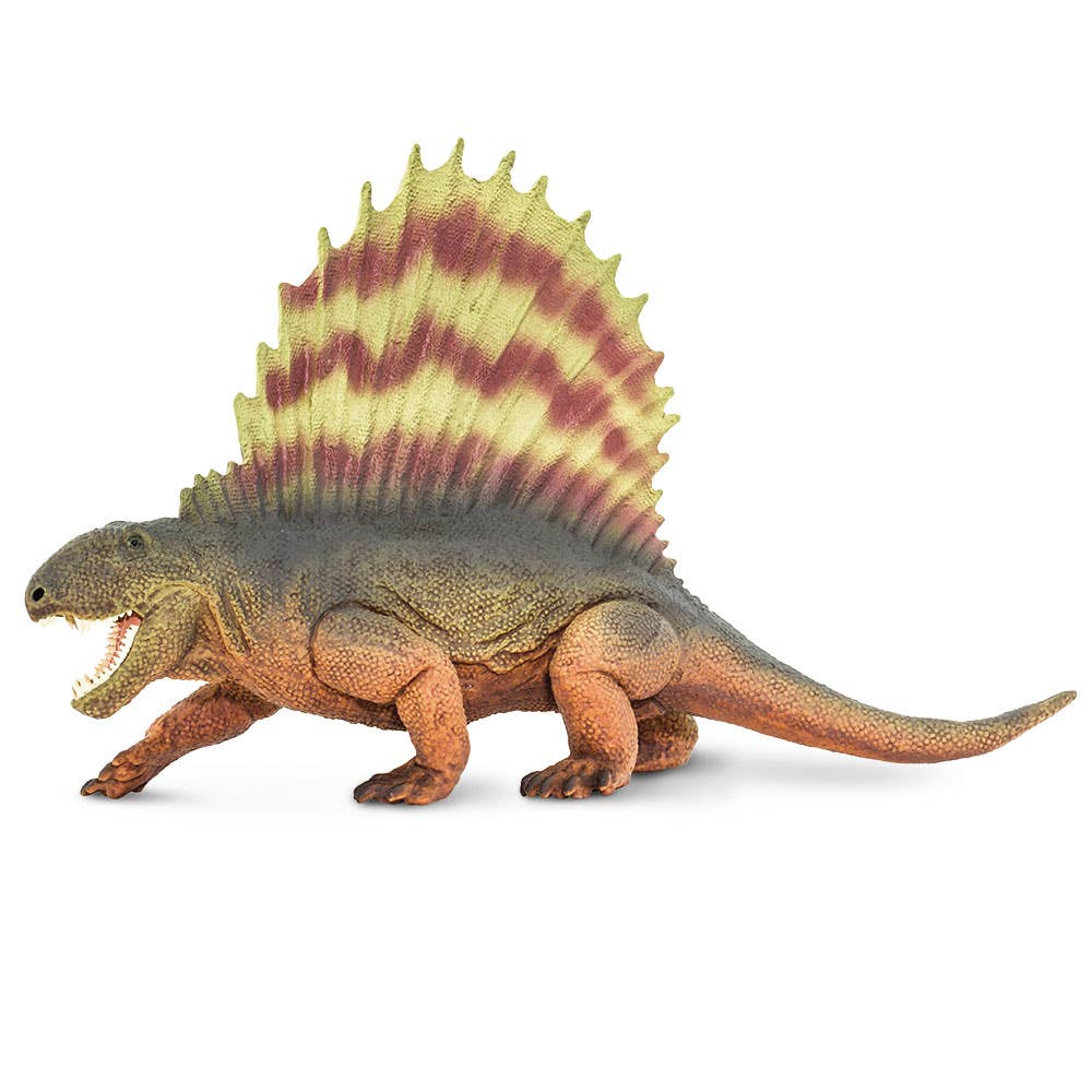 Dimetrodon - 305729