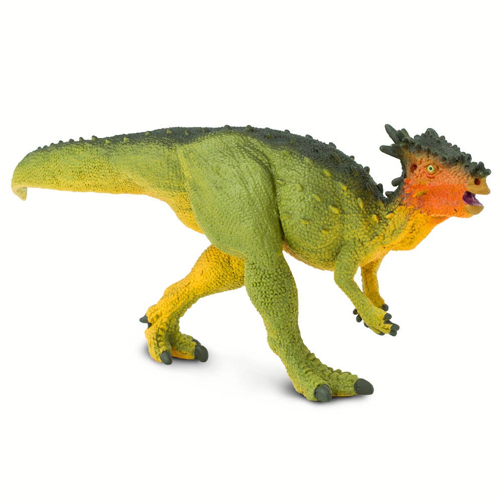 Dracorex - 303129
