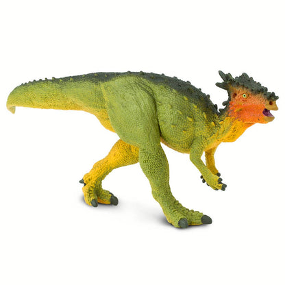 Dracorex - 303129