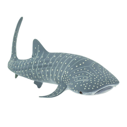 Whale Shark - 422129