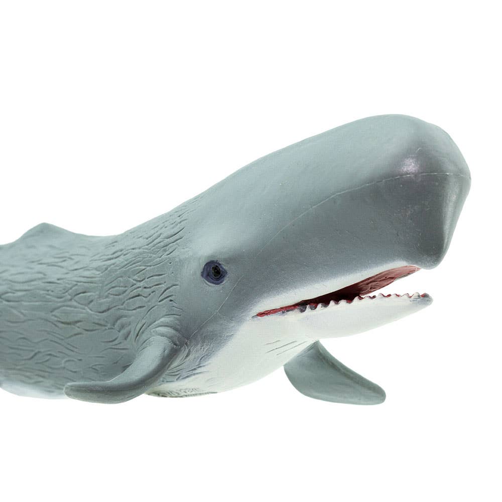Sperm Whale Figurine Toy for Kids
