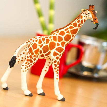 Reticulated Giraffe - 268429