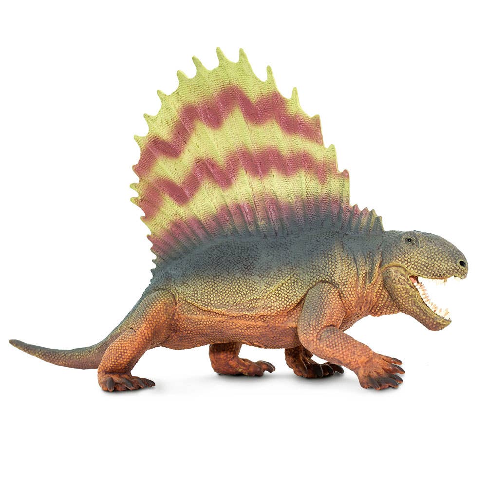 Dimetrodon - 305729