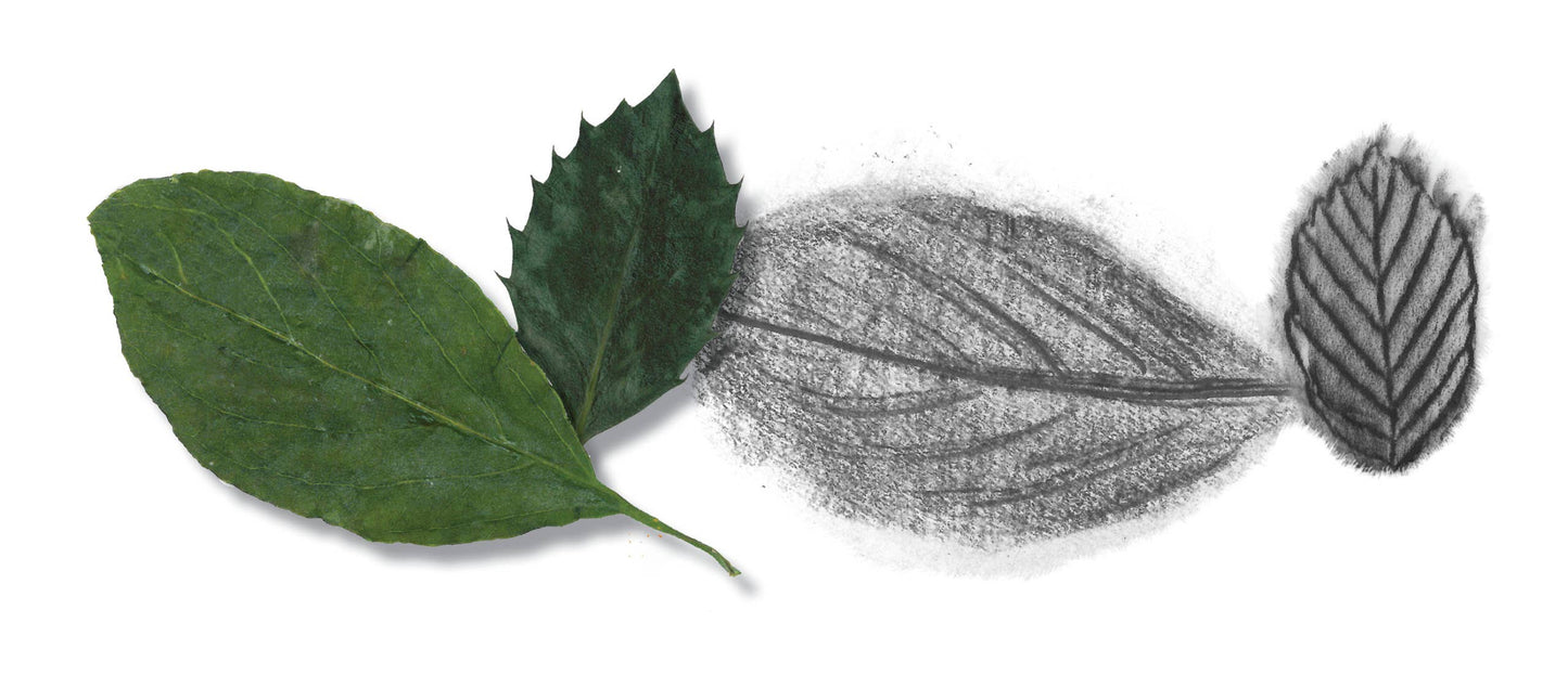 Do Art Drawing & Sketching Beginner Art
