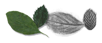 Do Art Drawing & Sketching Beginner Art