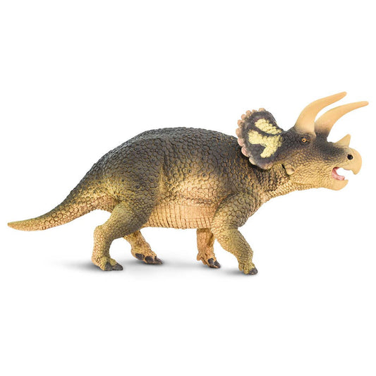 Triceratops - 100153