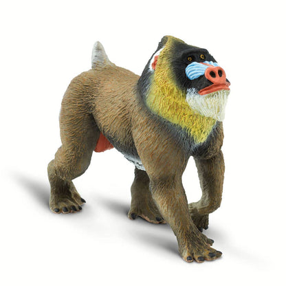 Mandrill - 100273