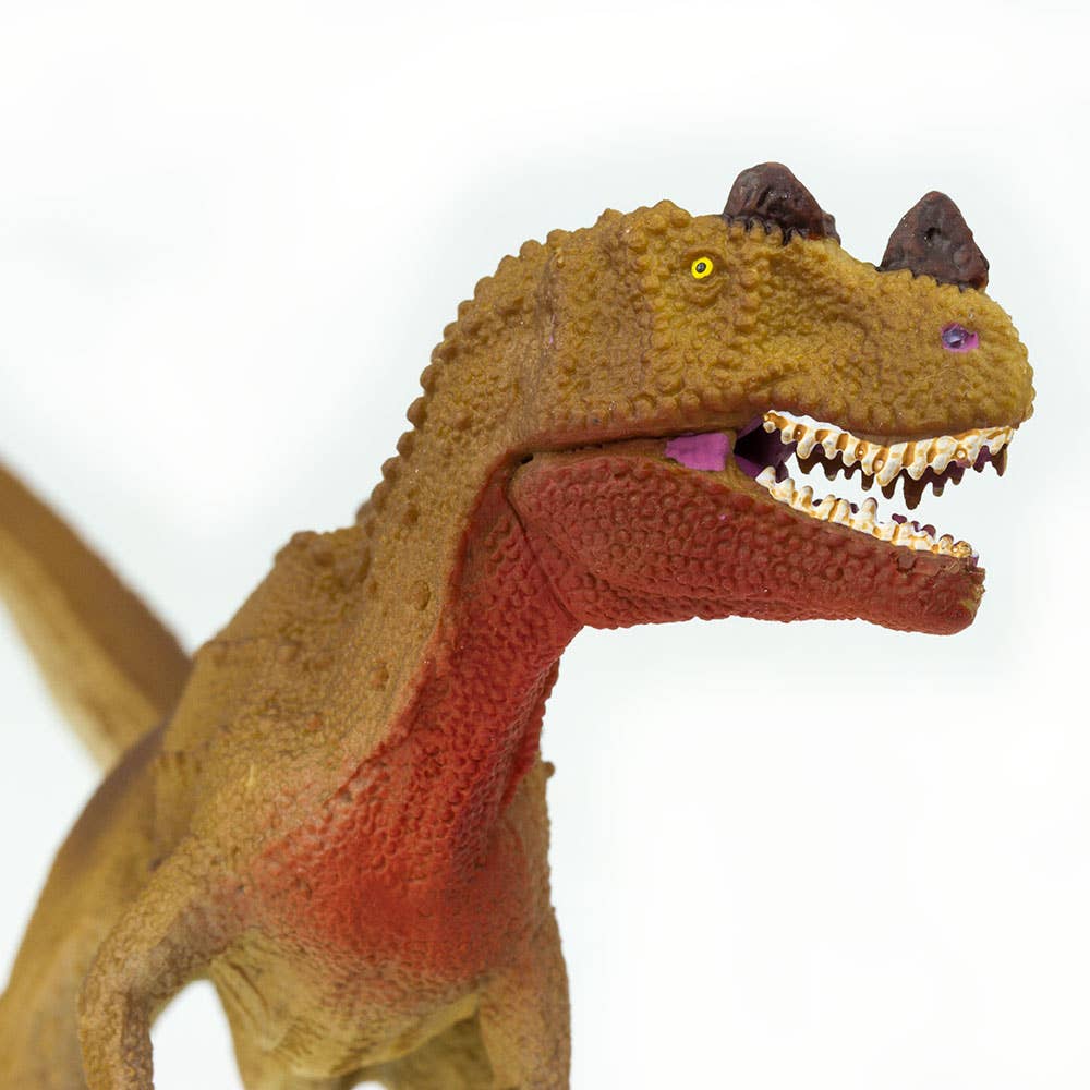 Ceratosaurus - 303029